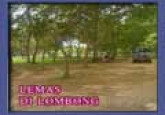 FRLS : Lemas Di Lombong